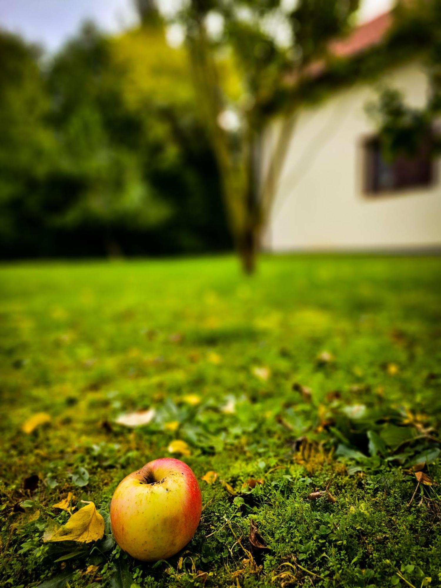 Gosciniec Gryszczeniowka & Spa Wargowo Buitenkant foto