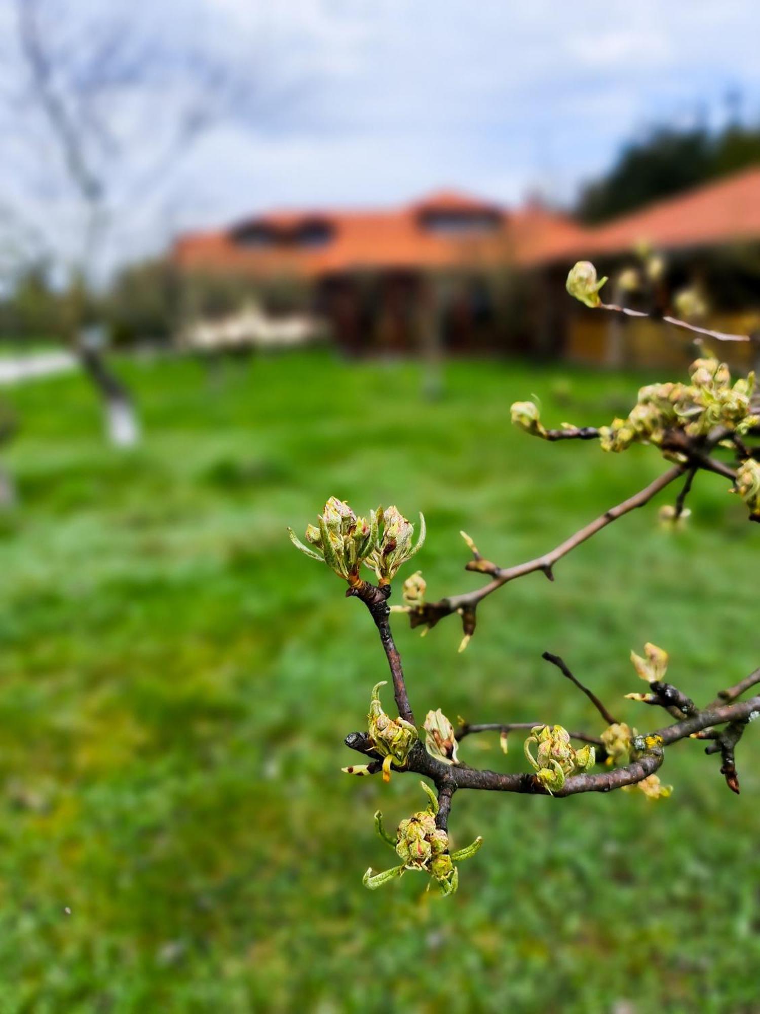 Gosciniec Gryszczeniowka & Spa Wargowo Buitenkant foto