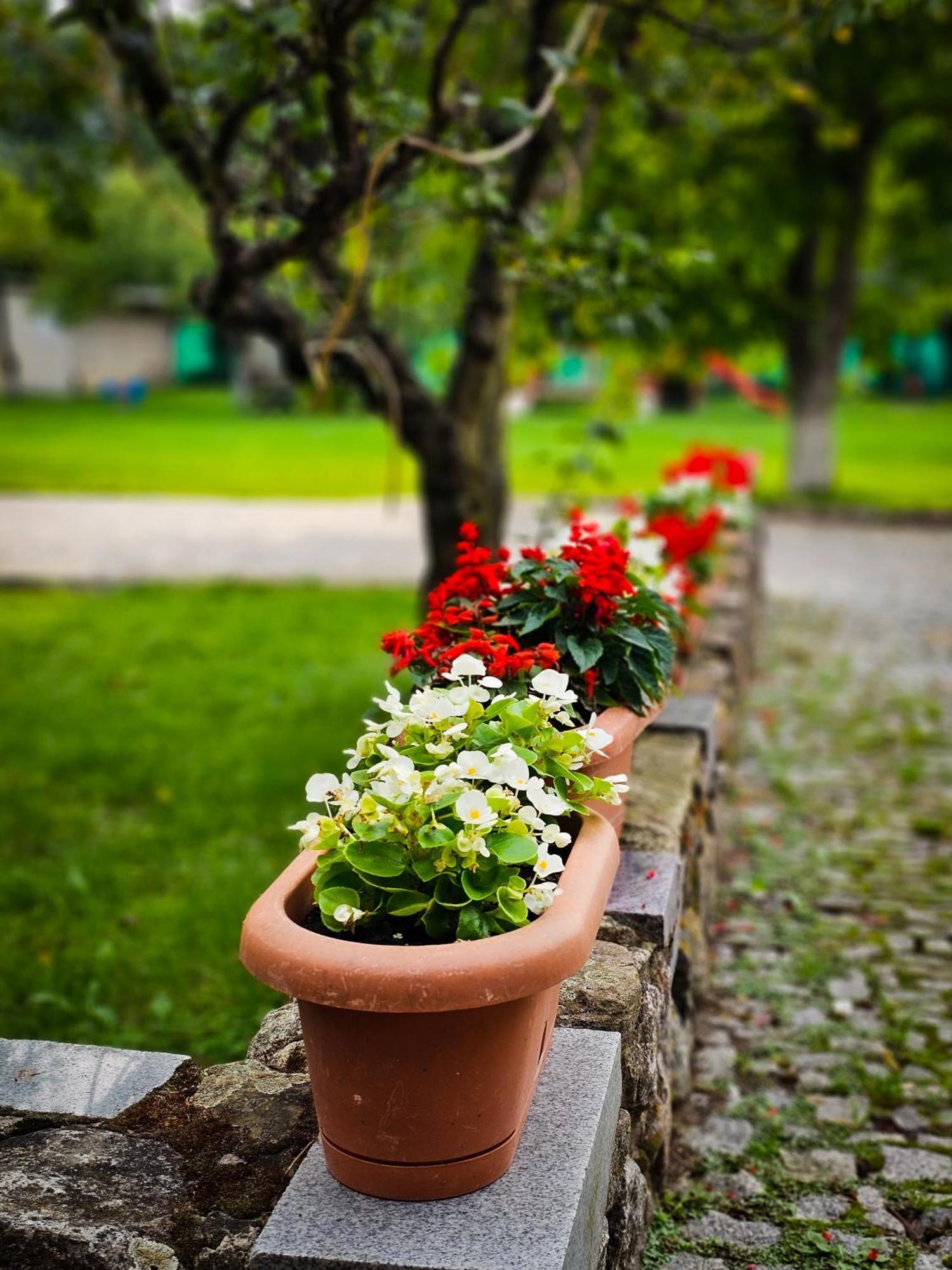 Gosciniec Gryszczeniowka & Spa Wargowo Buitenkant foto