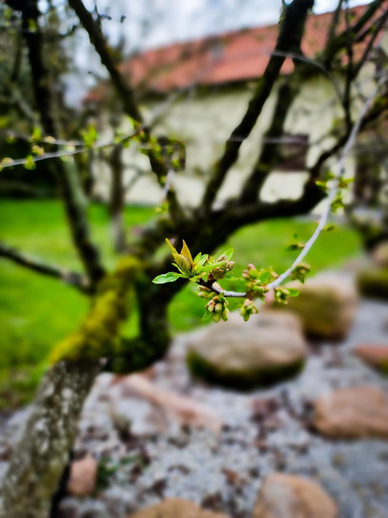 Gosciniec Gryszczeniowka & Spa Wargowo Buitenkant foto